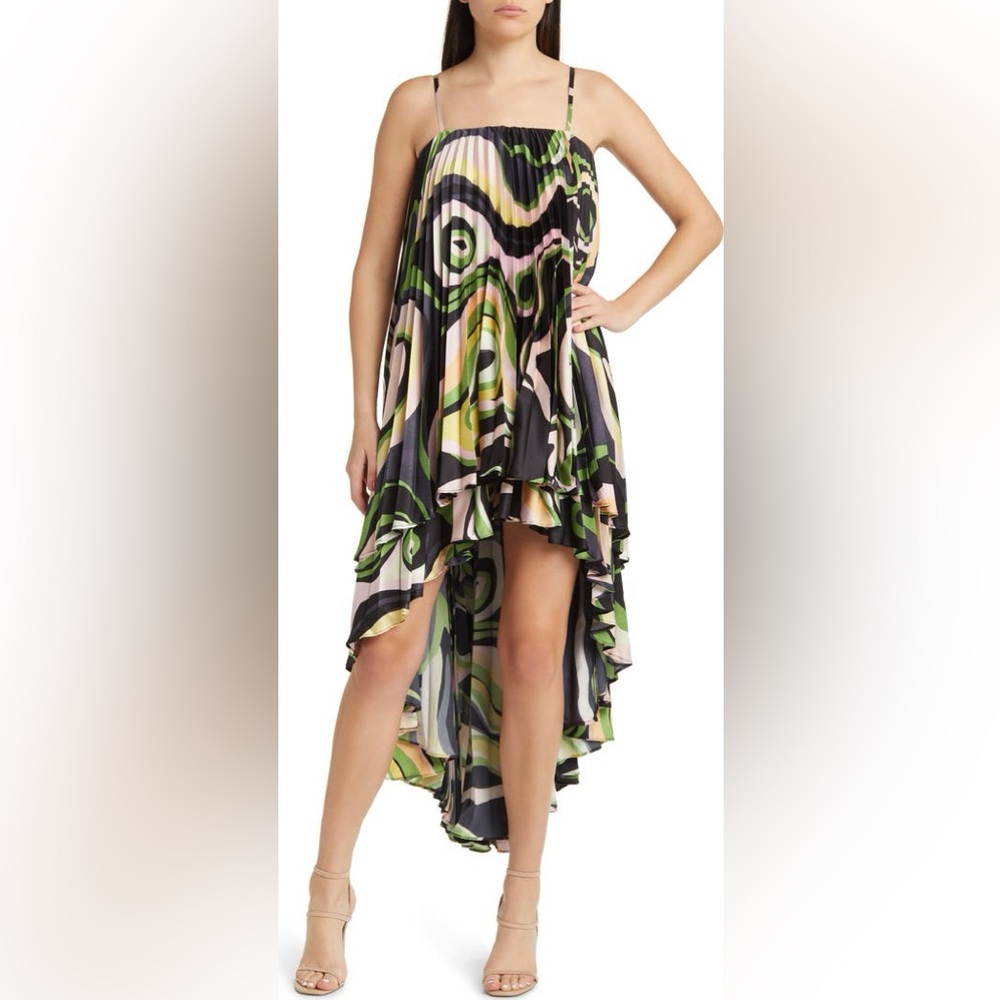 Hutch Zae Print Pleated Ruffle Dress
